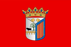 Calendario Laboral de SALAMANCA | Bandera Salamanca