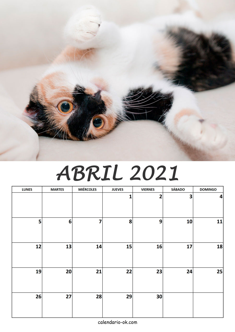 Calendario ABRIL 2021 de GATOS