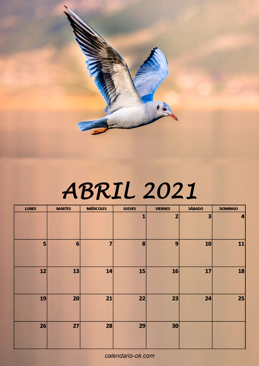 Calendario ABRIL 2021 de PAJAROS