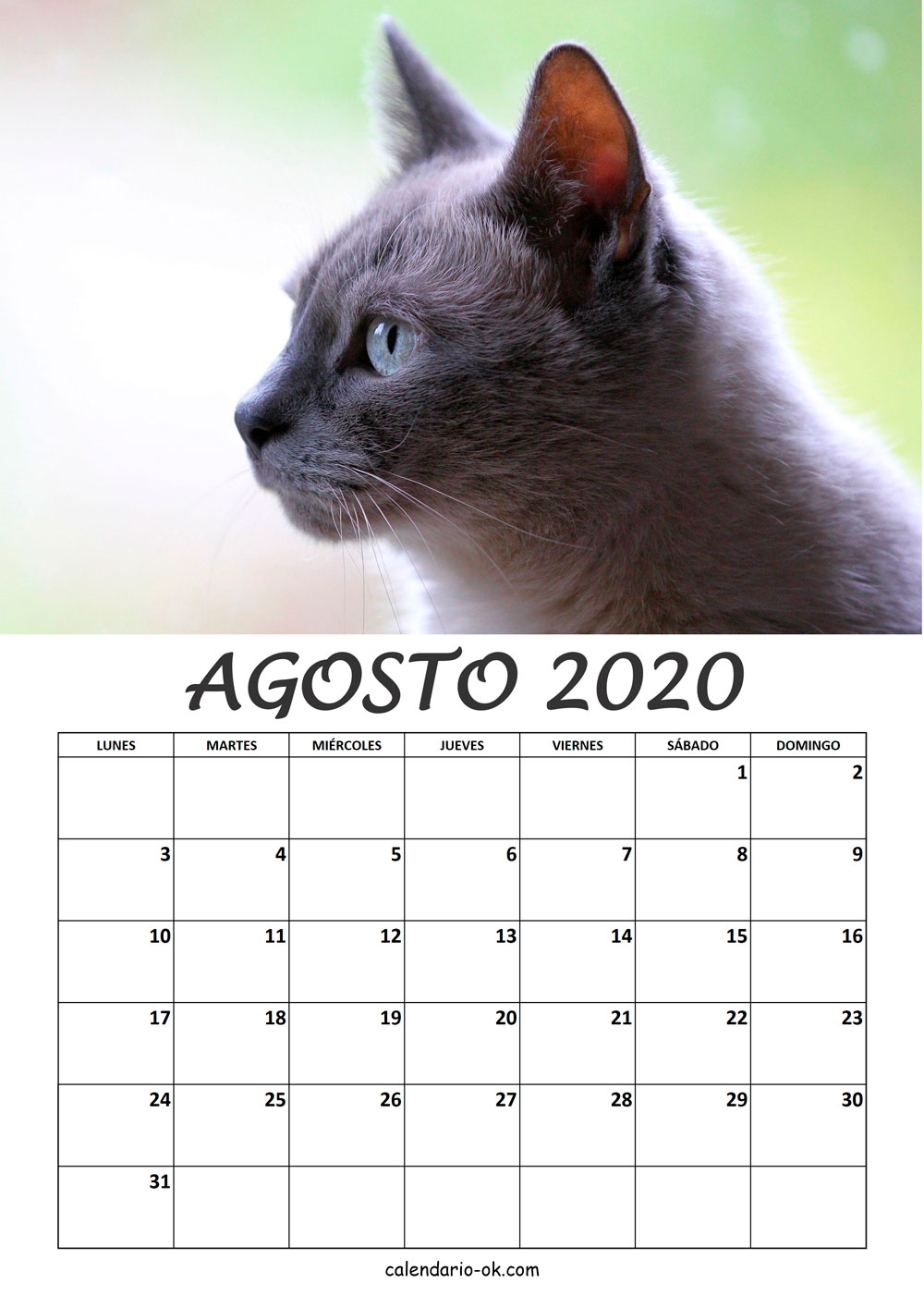 Calendario AGOSTO 2020 de GATOS