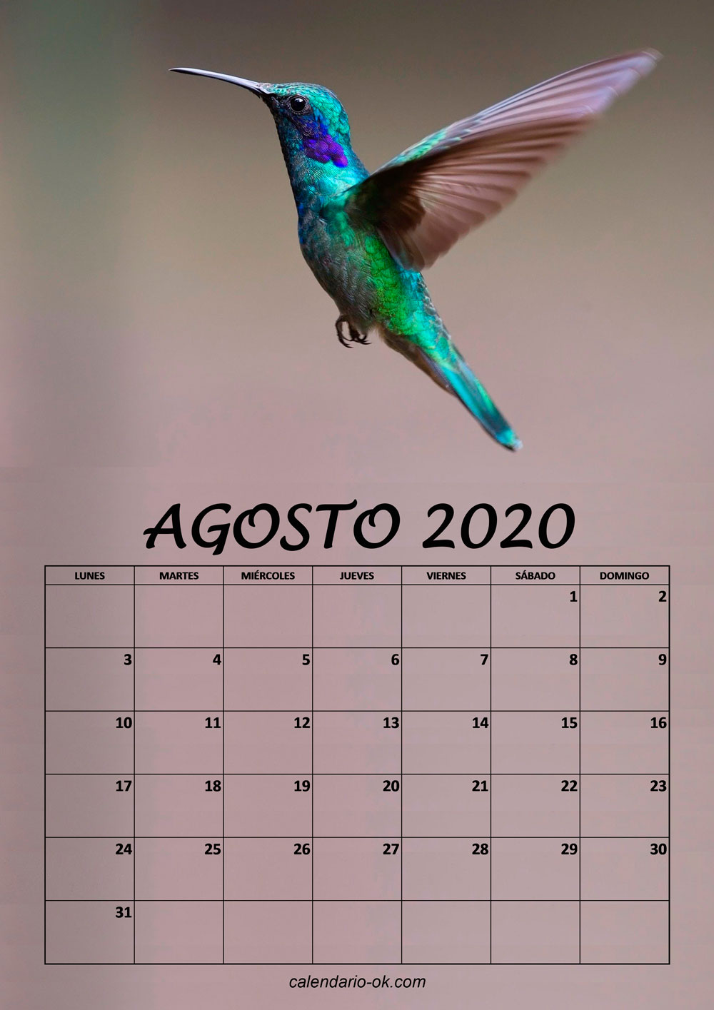 Calendario AGOSTO 2020 de PAJAROS