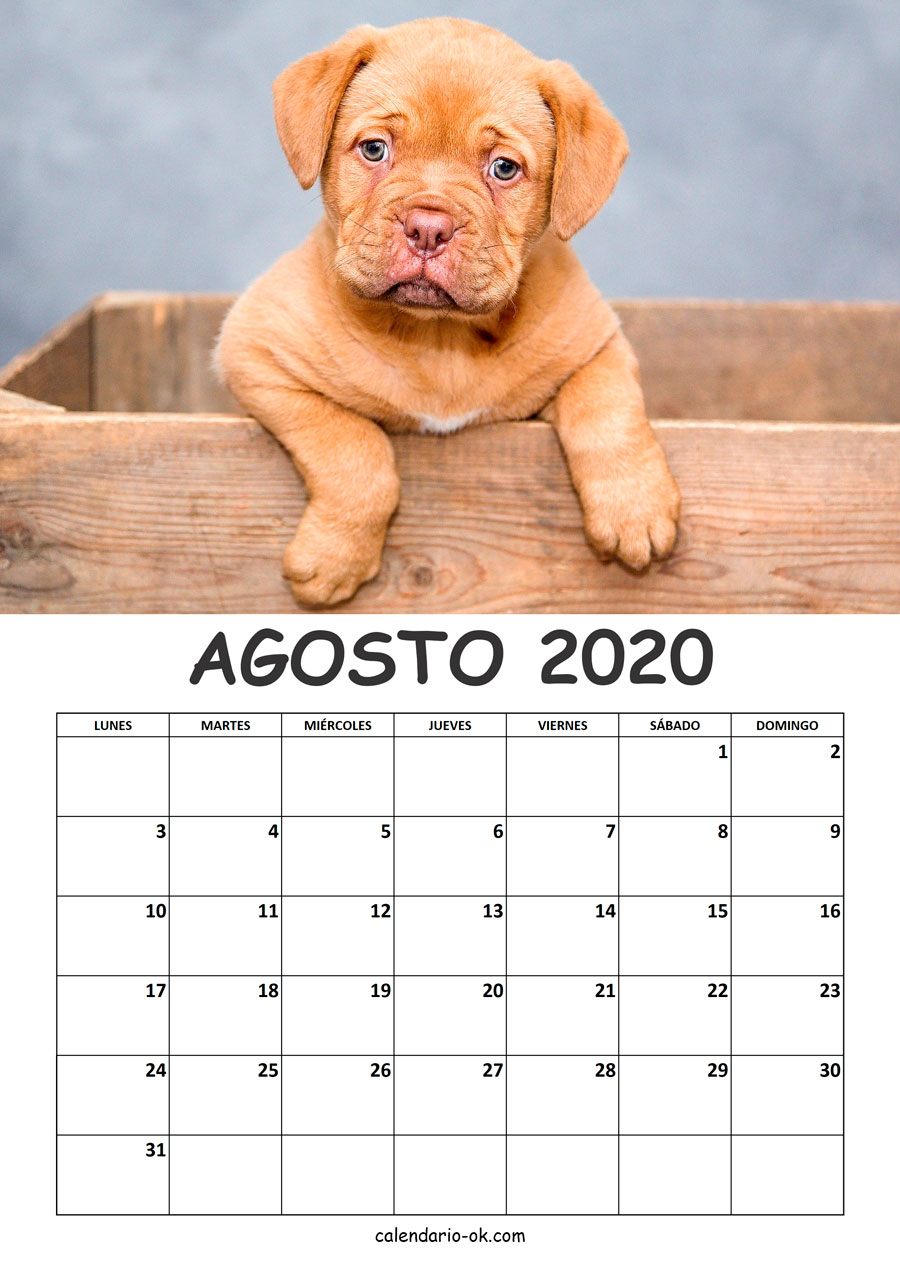 Calendario AGOSTO 2020 de PERROS