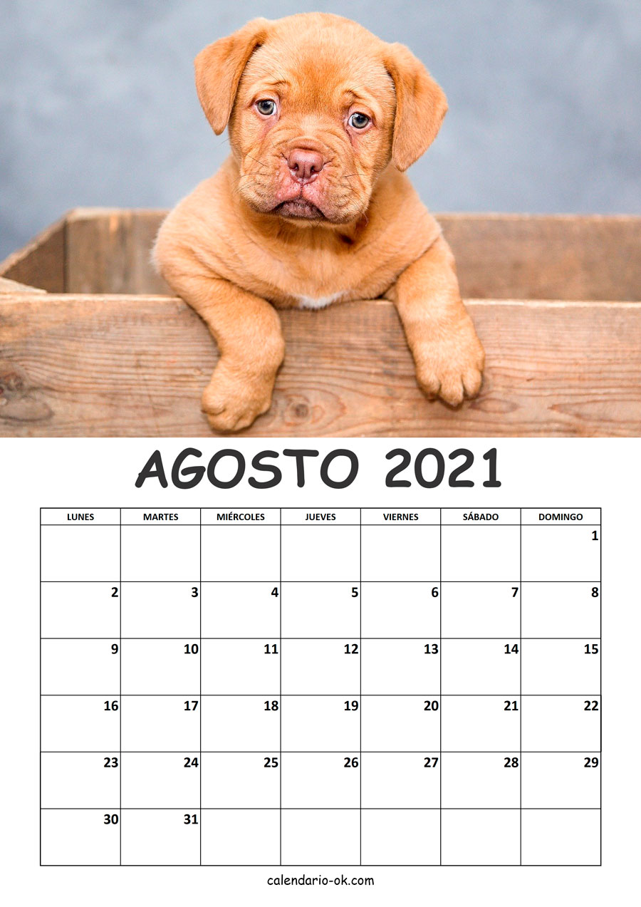 Calendario AGOSTO 2021 de PERROS