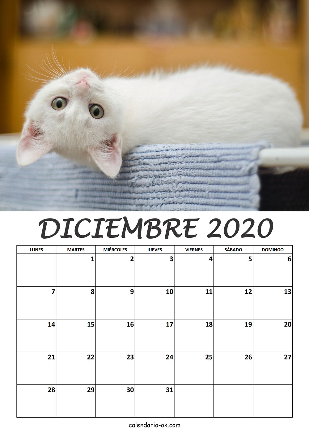 Calendario DICIEMBRE 2020 de GATOS