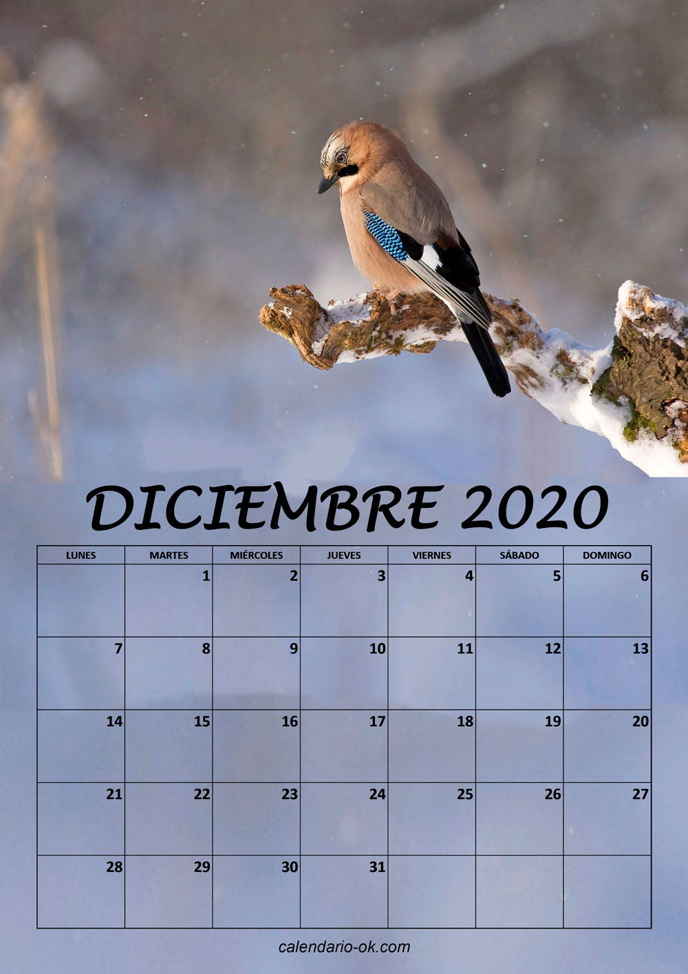 Calendario DICIEMBRE 2020 de PAJAROS