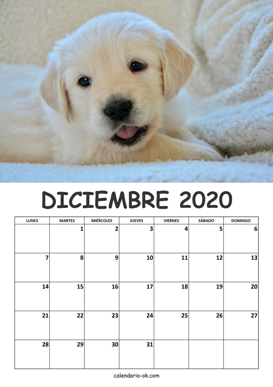 Calendario DICIEMBRE 2020 de PERROS