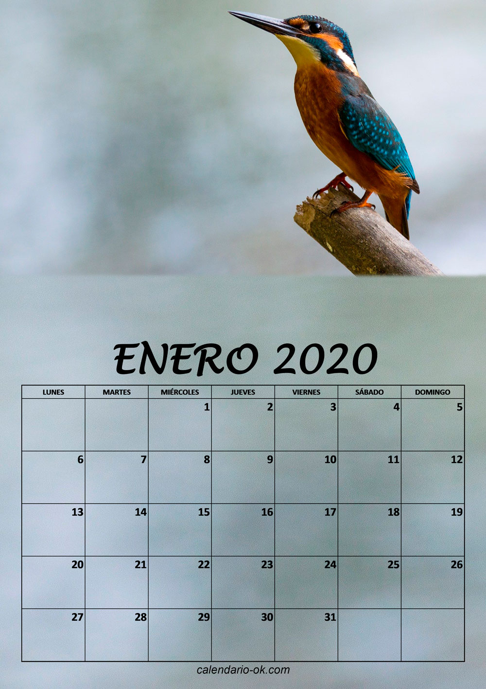 Calendario ENERO 2020 de PAJAROS