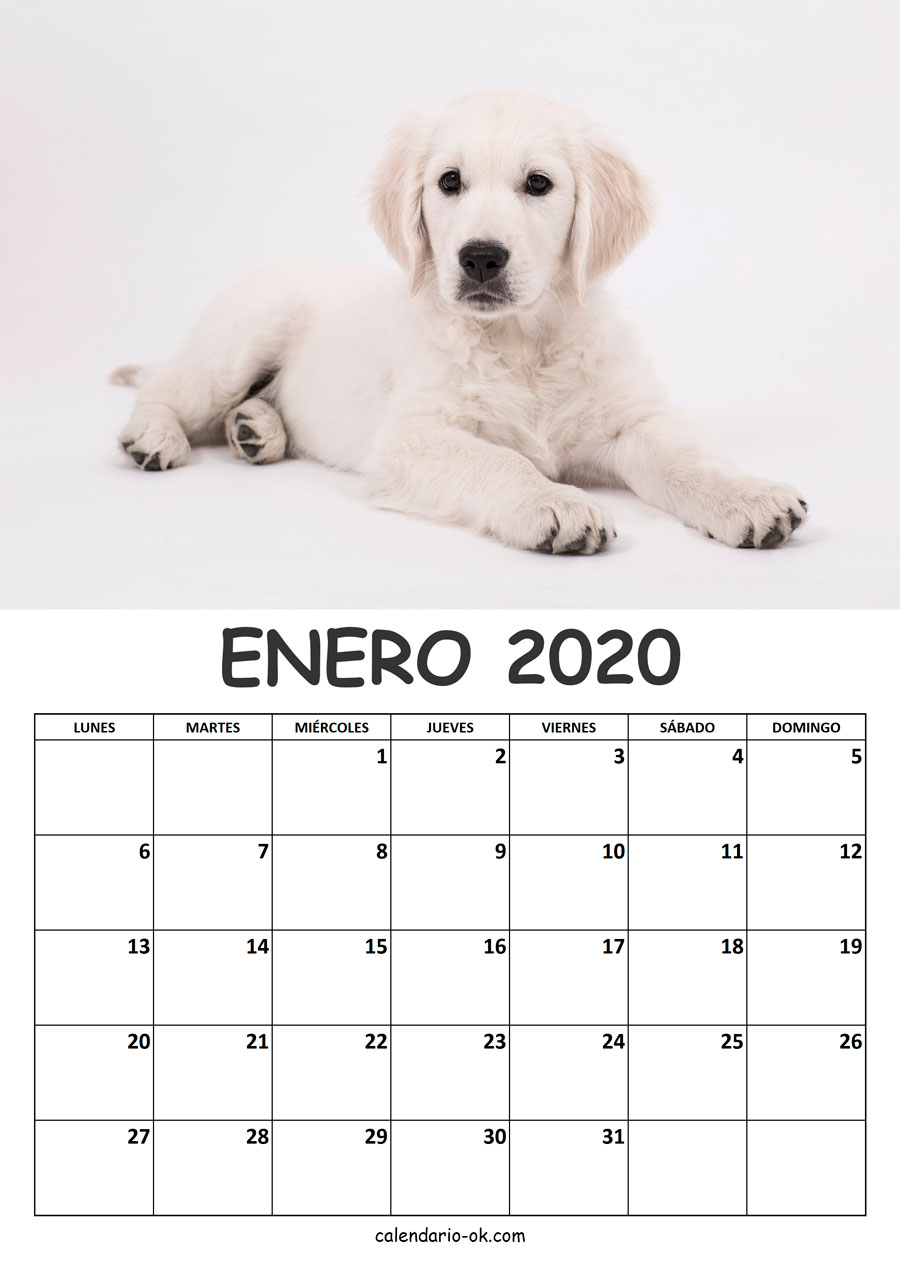 Calendario ENERO 2020 de PERROS