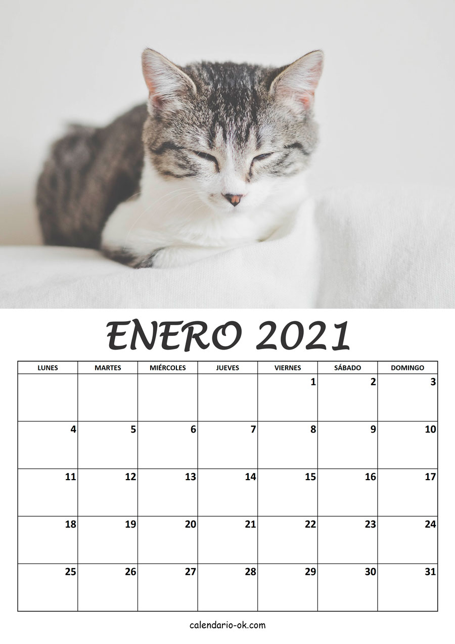 Calendario ENERO 2021 de GATOS