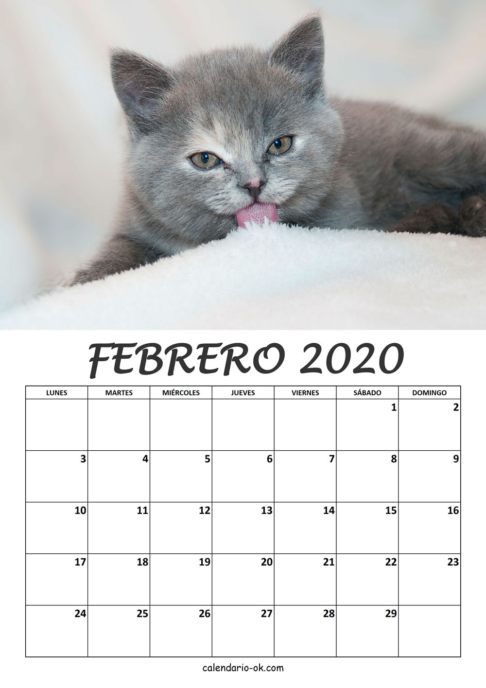 Calendario FEBRERO 2020 de GATOS