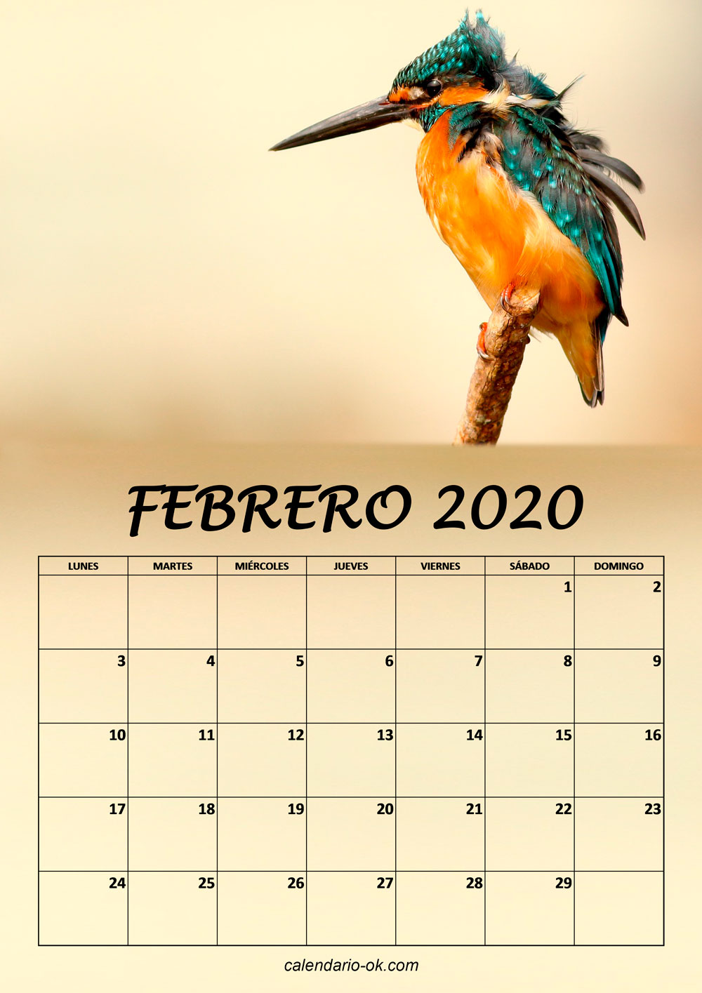 Calendario FEBRERO 2020 de PAJAROS