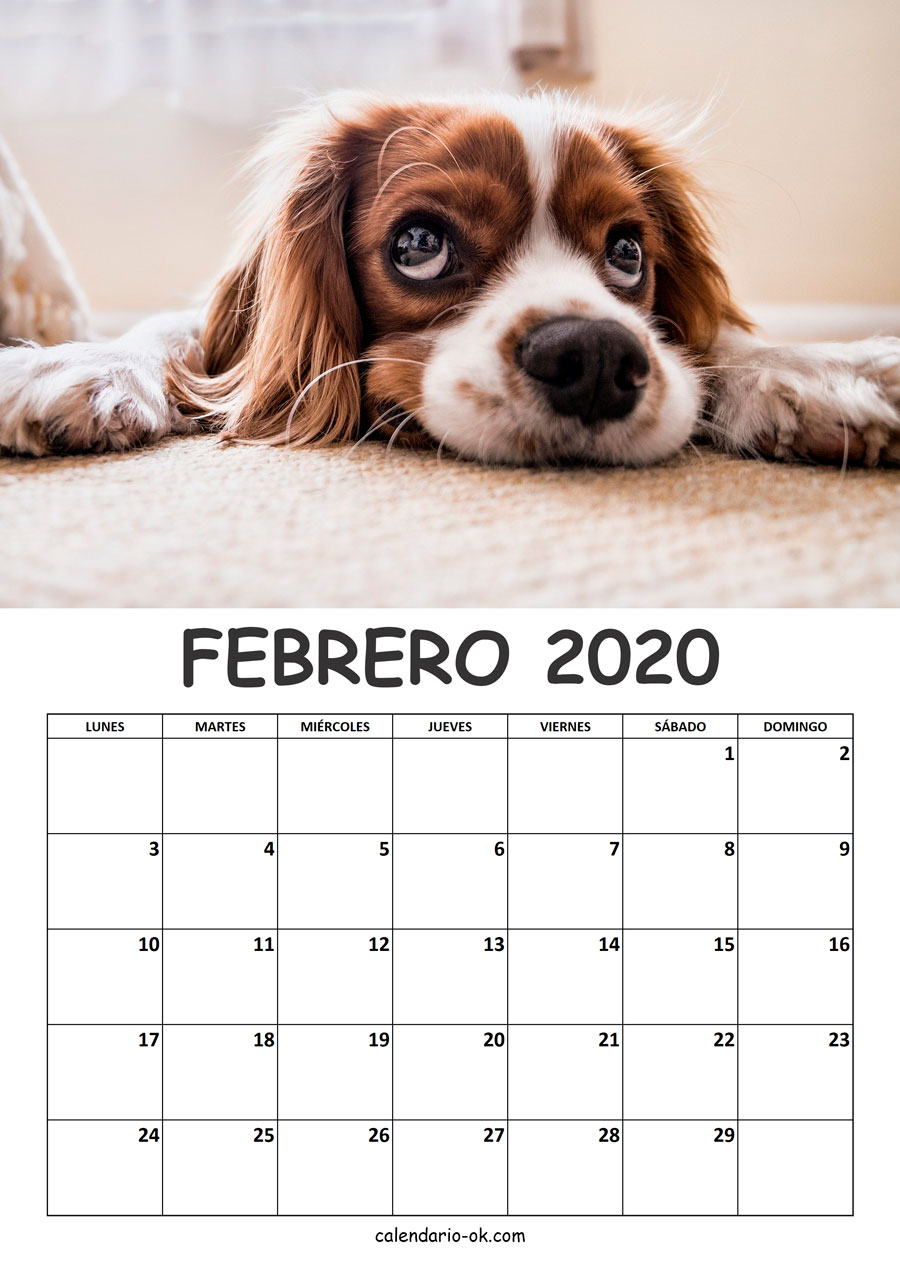Calendario FEBRERO 2020 de PERROS