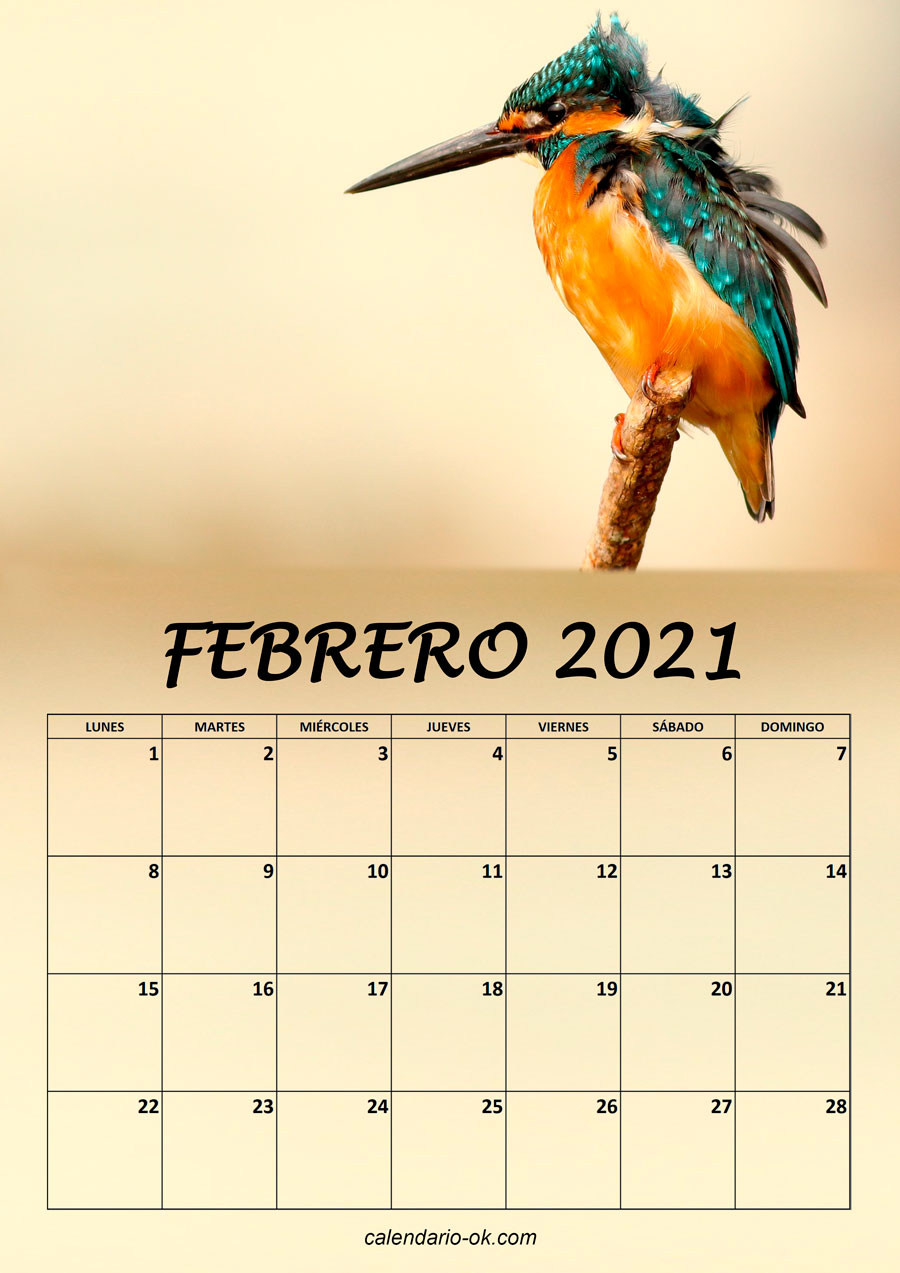 Calendario FEBRERO 2021 de PAJAROS
