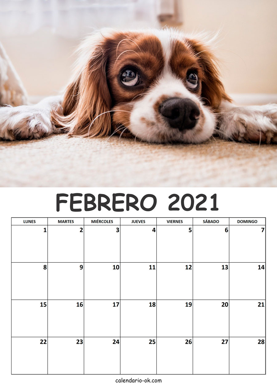 Calendario FEBRERO 2021 de PERROS