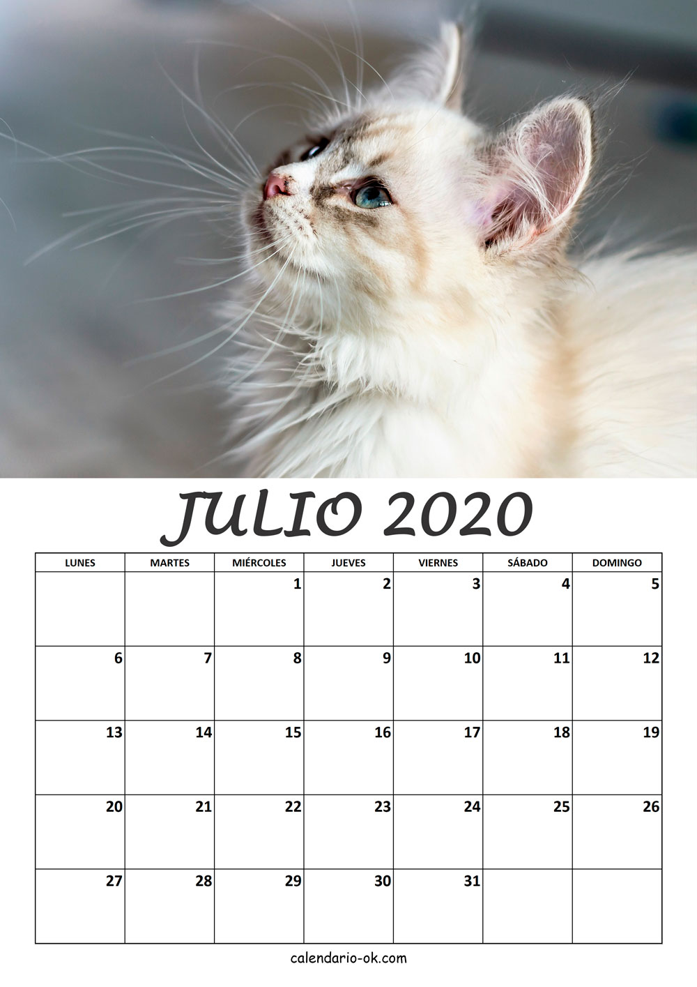 Calendario JULIO 2020 de GATOS