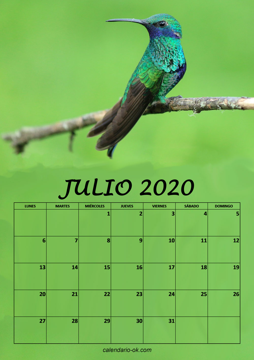 Calendario JULIO 2020 de PAJAROS
