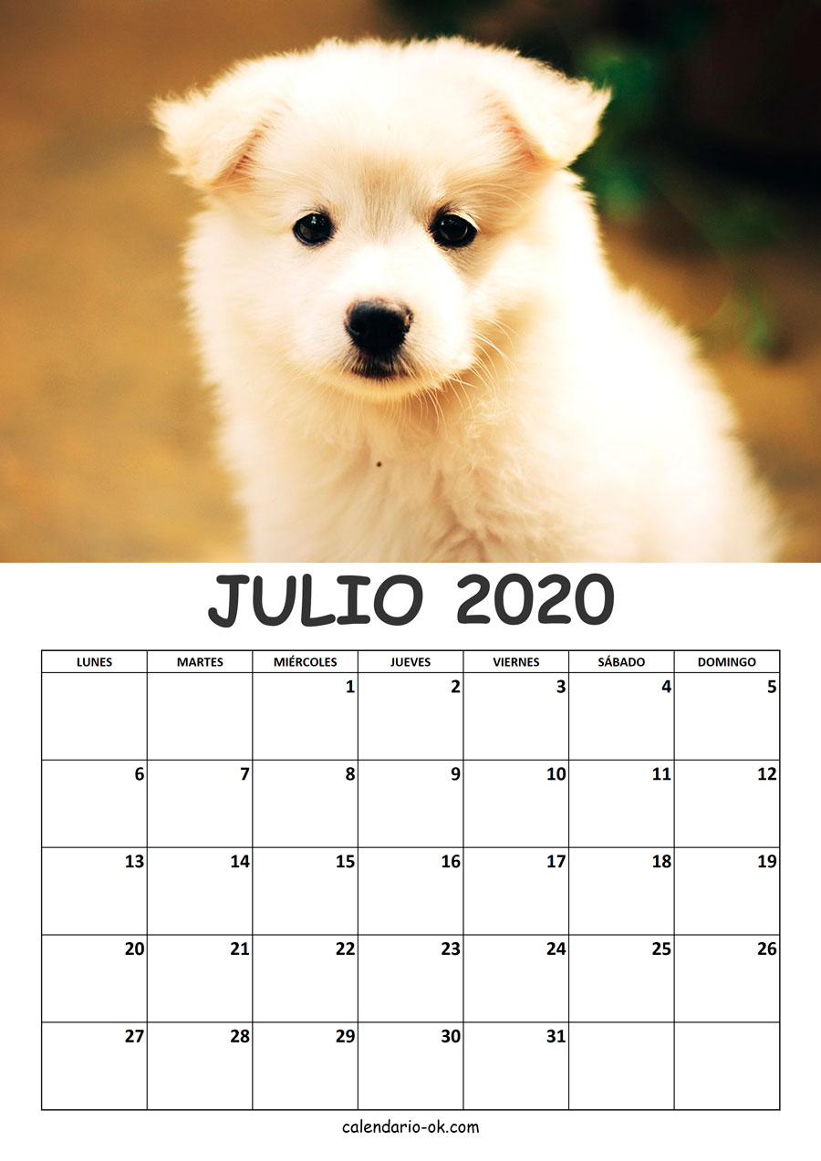 Calendario JULIO 2020 de PERROS