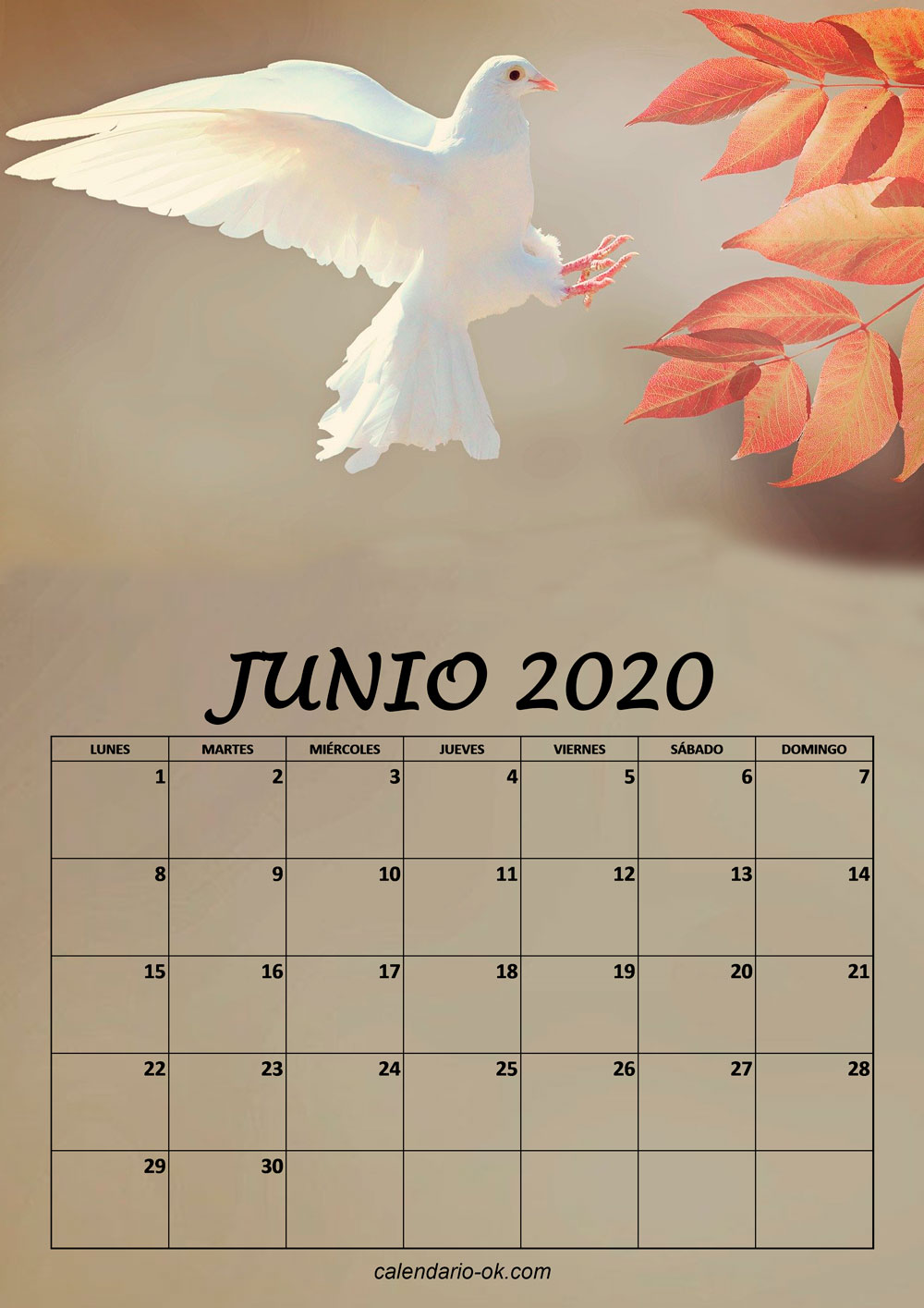 Calendario JUNIO 2020 de PAJAROS