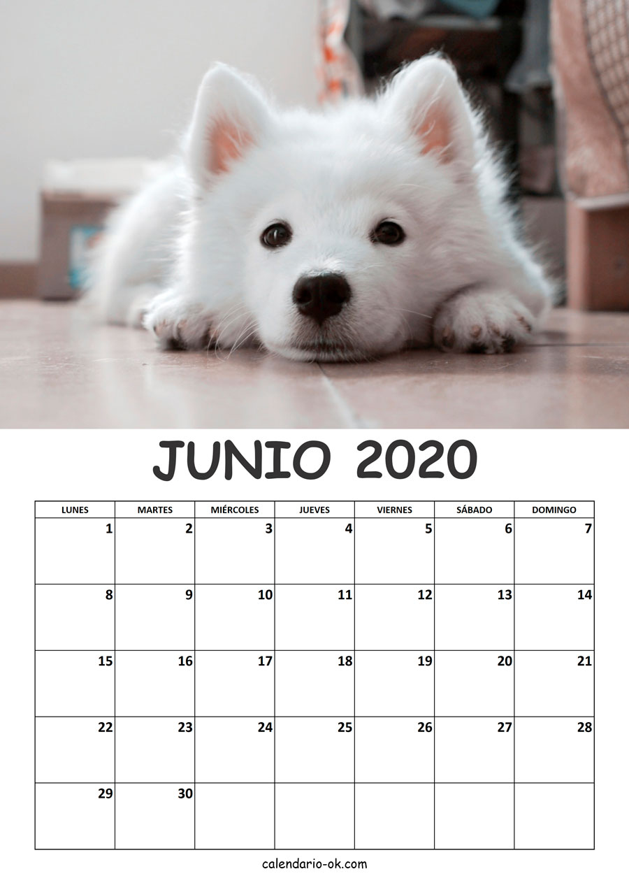 Calendario JUNIO 2020 de PERROS
