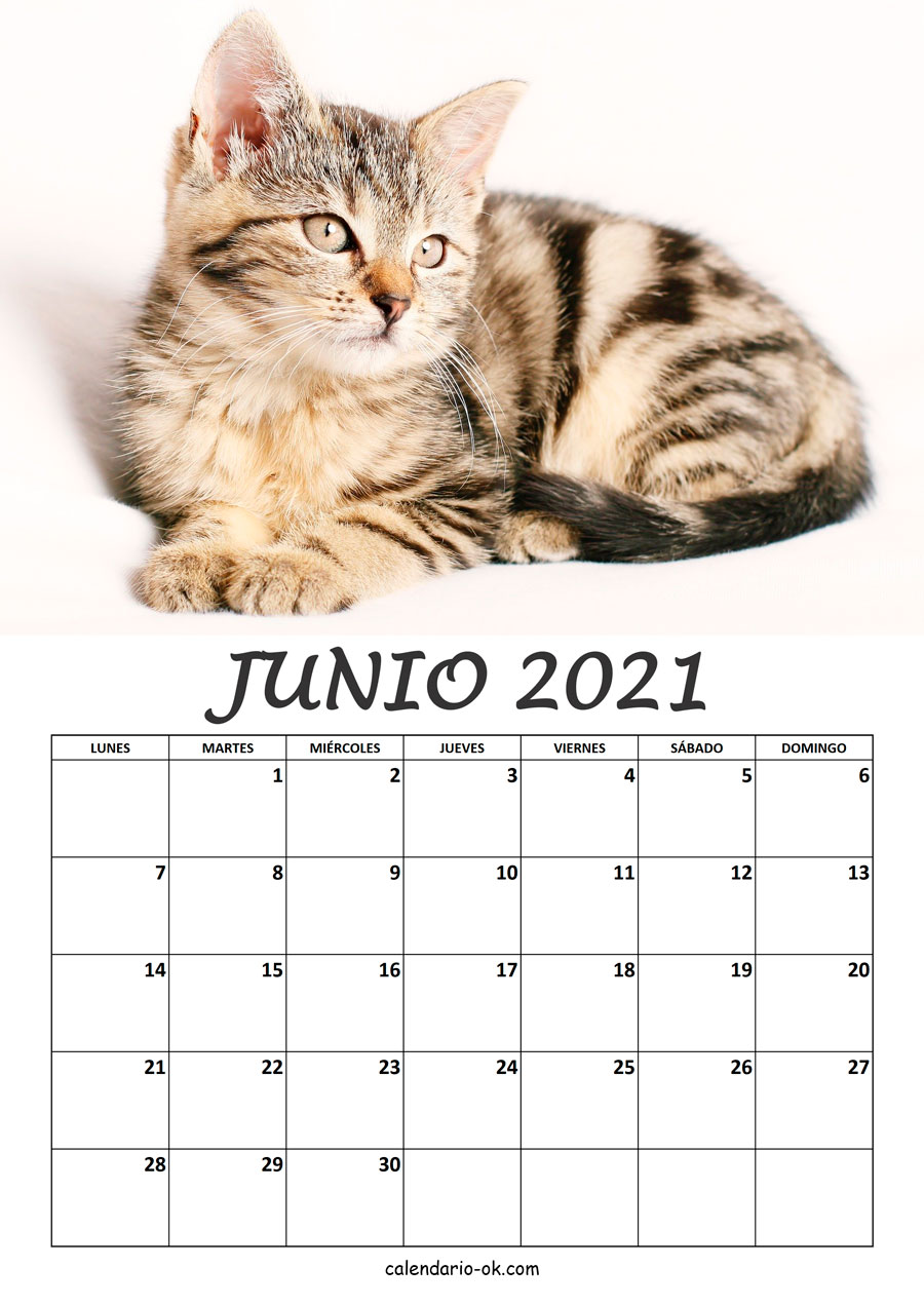 Calendario JUNIO 2021 de GATOS
