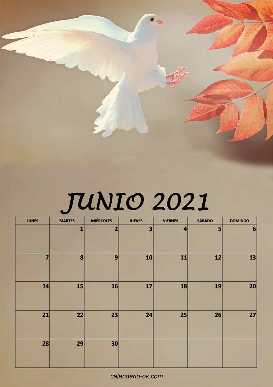 Calendario JUNIO 2021 de PAJAROS