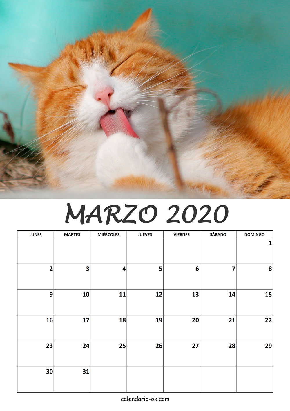 Calendario MARZO 2020 de GATOS