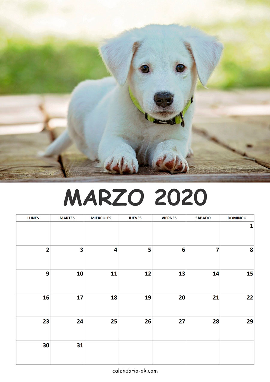 Calendario MARZO 2020 de PERROS