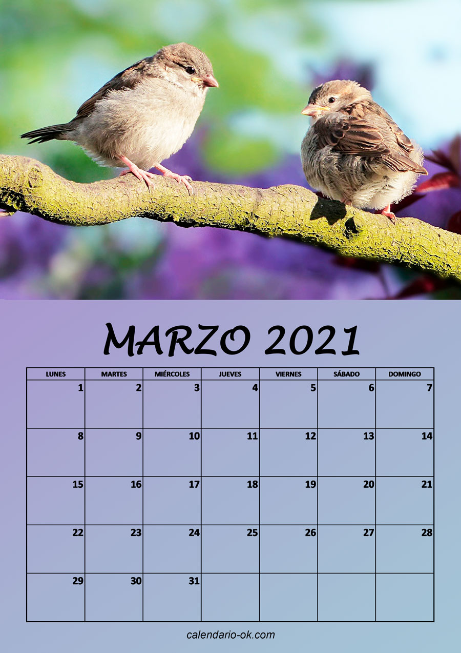 Calendario MARZO 2021 de PAJAROS