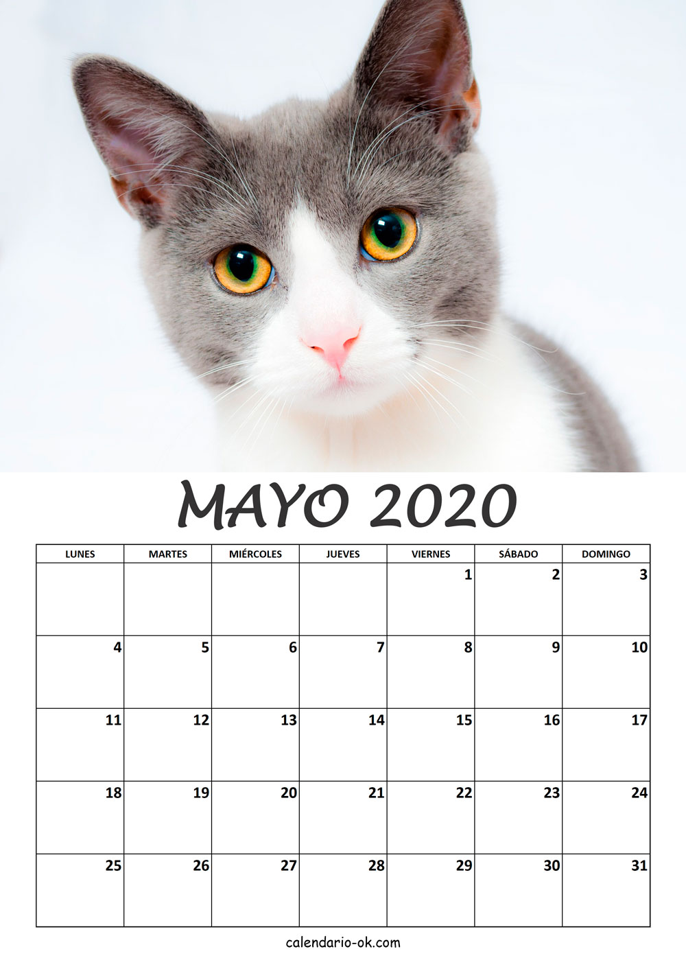 Calendario MAYO 2020 de GATOS