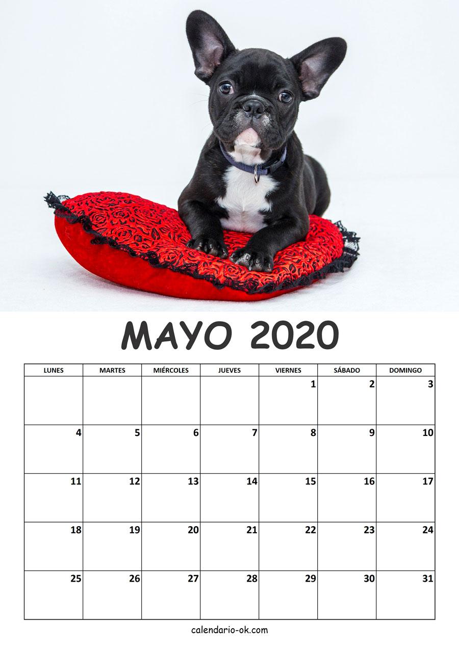 Calendario MAYO 2020 de PERROS