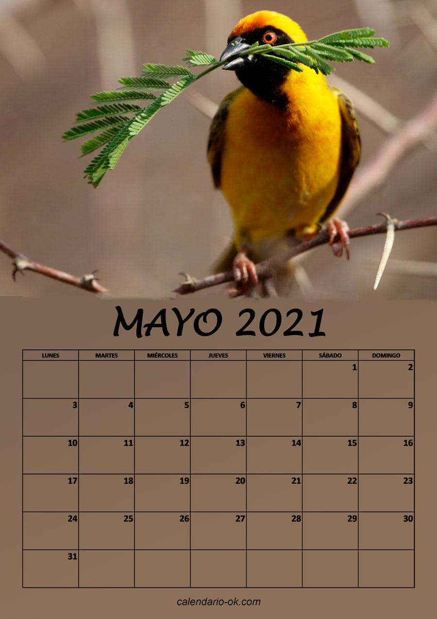 Calendario MAYO 2021 de PAJAROS