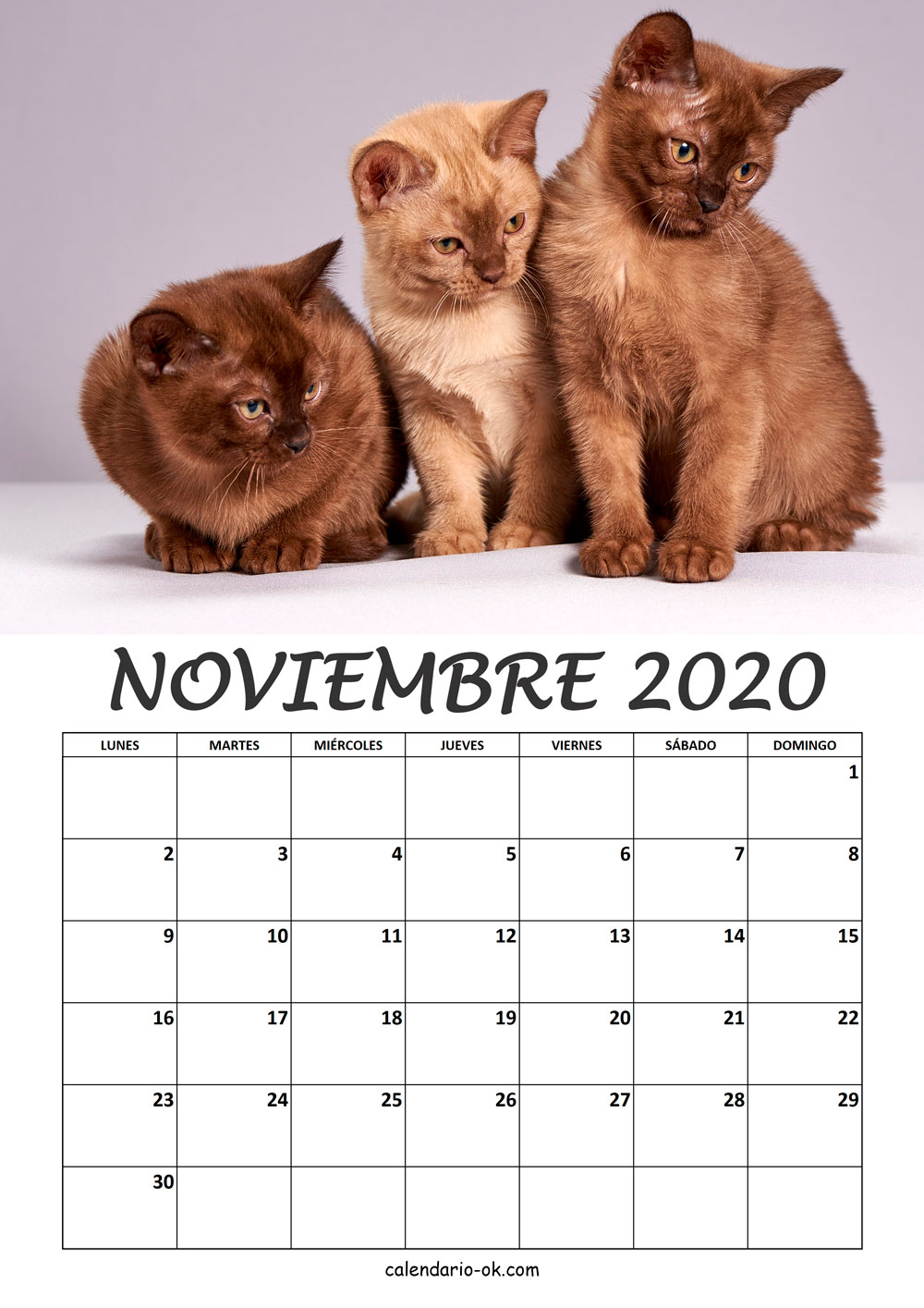 Calendario NOVIEMBRE 2020 de GATOS