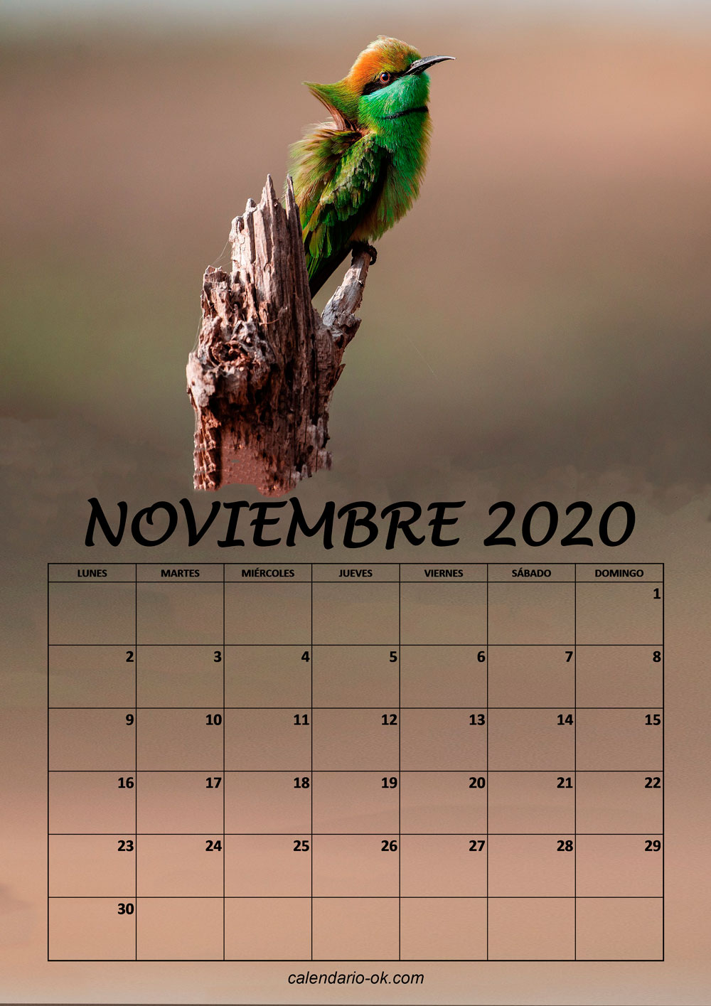 Calendario NOVIEMBRE 2020 de PAJAROS