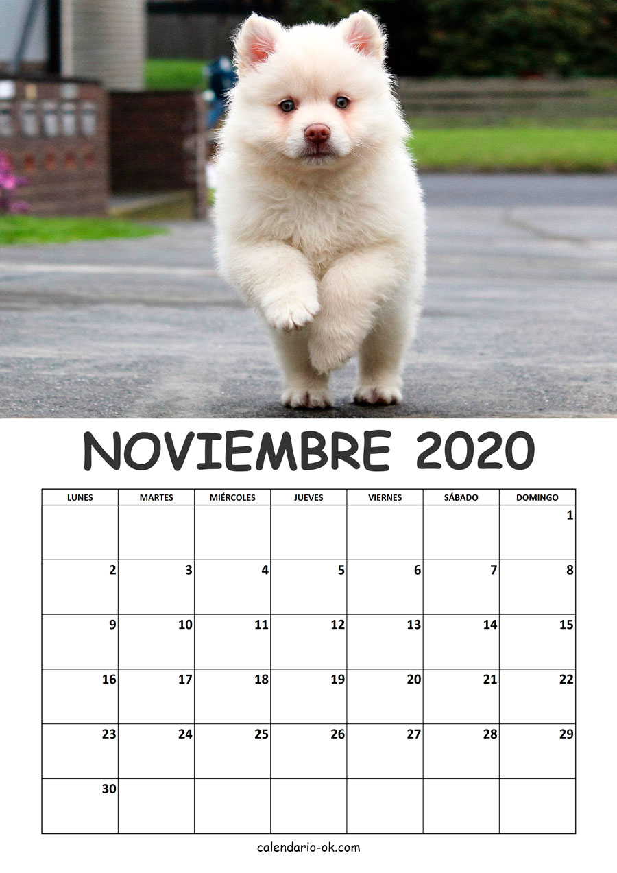 Calendario NOVIEMBRE 2020 de PERROS