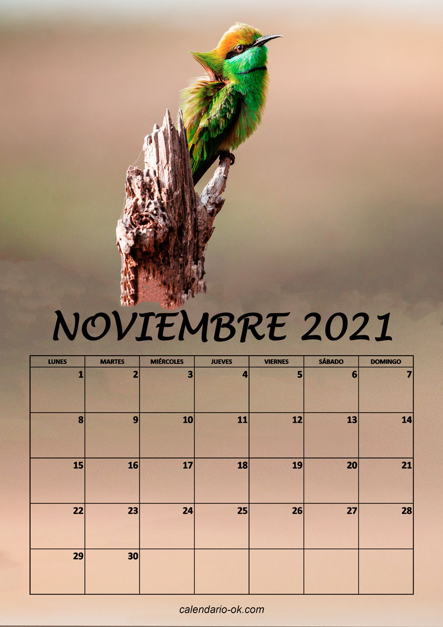 Calendario NOVIEMBRE 2021 de PAJAROS