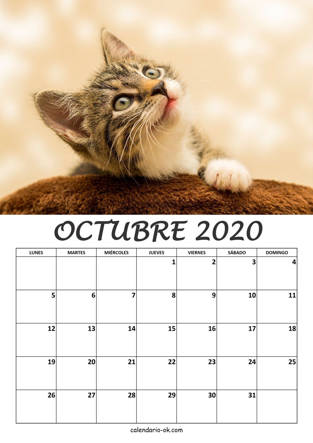 Calendario OCTUBRE 2020 de GATOS