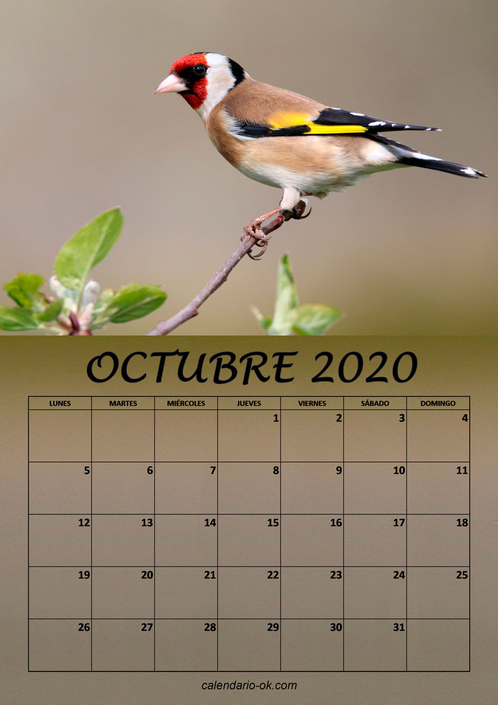 Calendario OCTUBRE 2020 de PAJAROS