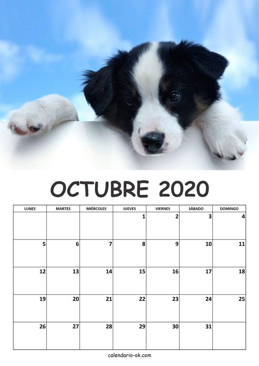 Calendario OCTUBRE 2020 de PERROS