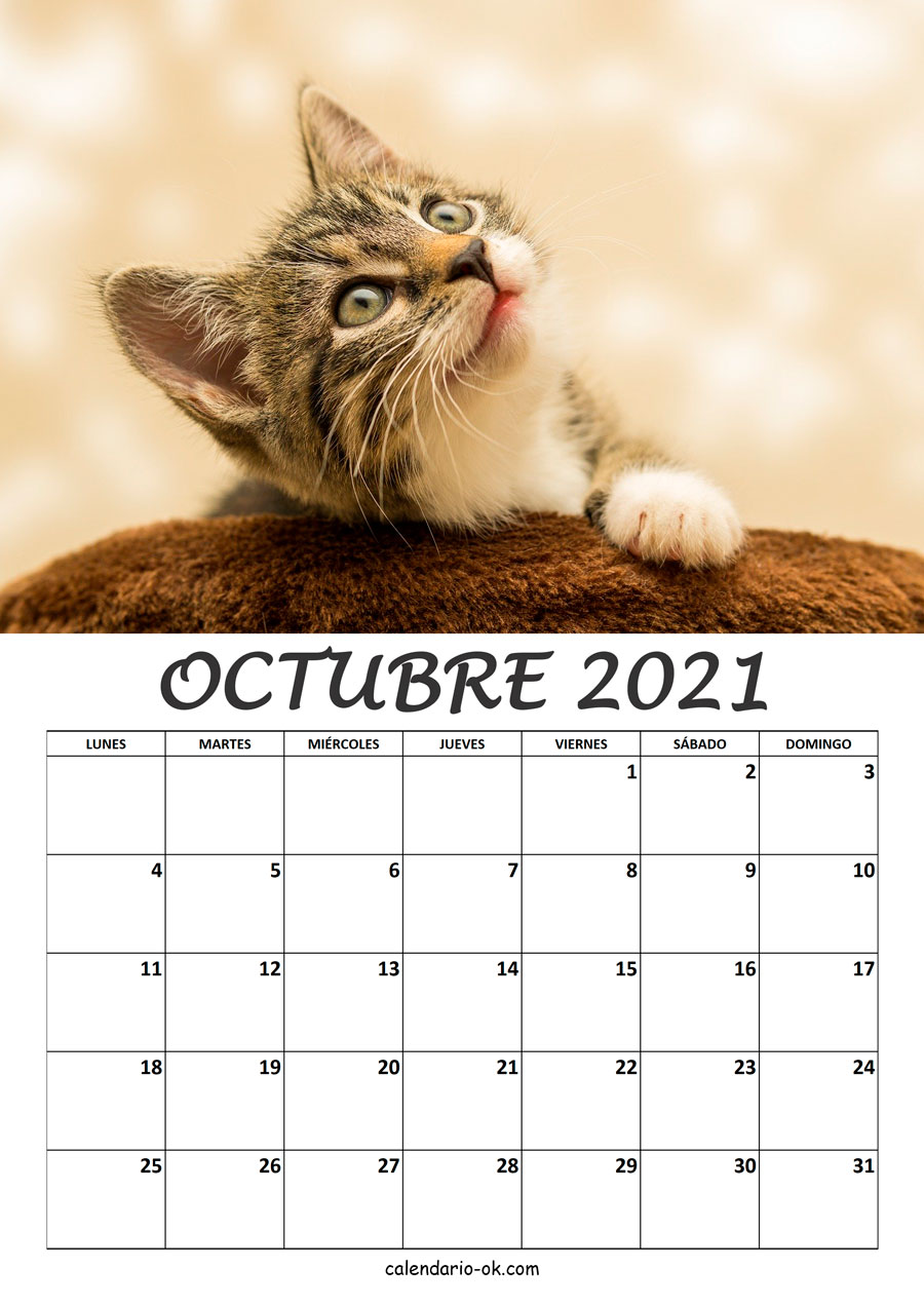Calendario OCTUBRE 2021 de GATOS