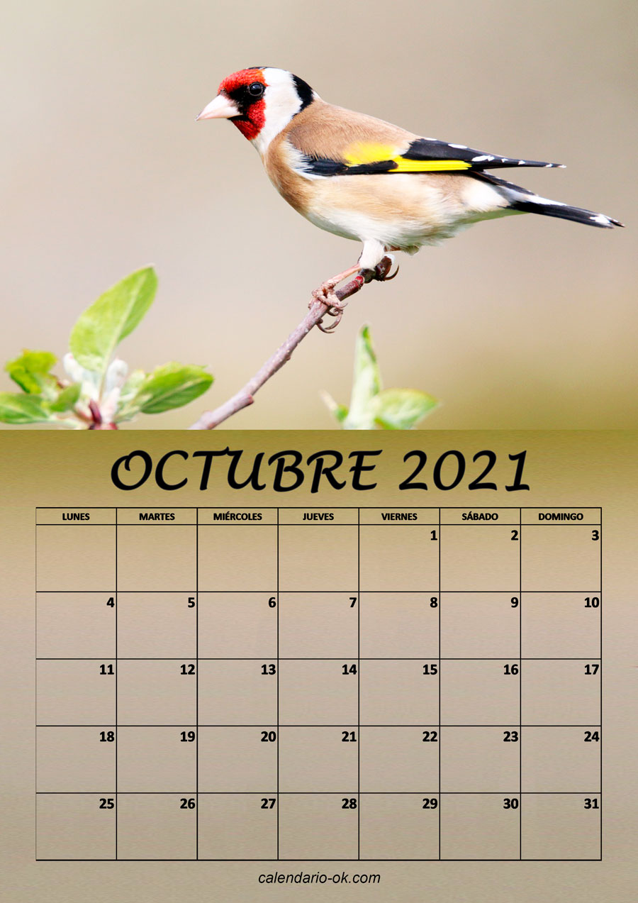 Calendario OCTUBRE 2021 de PAJAROS