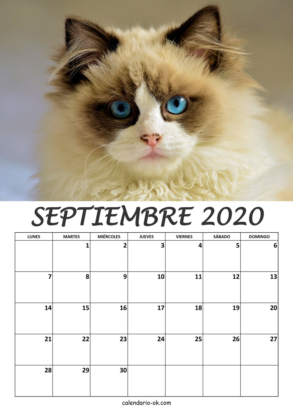 Calendario SEPTIEMBRE 2020 de GATOS