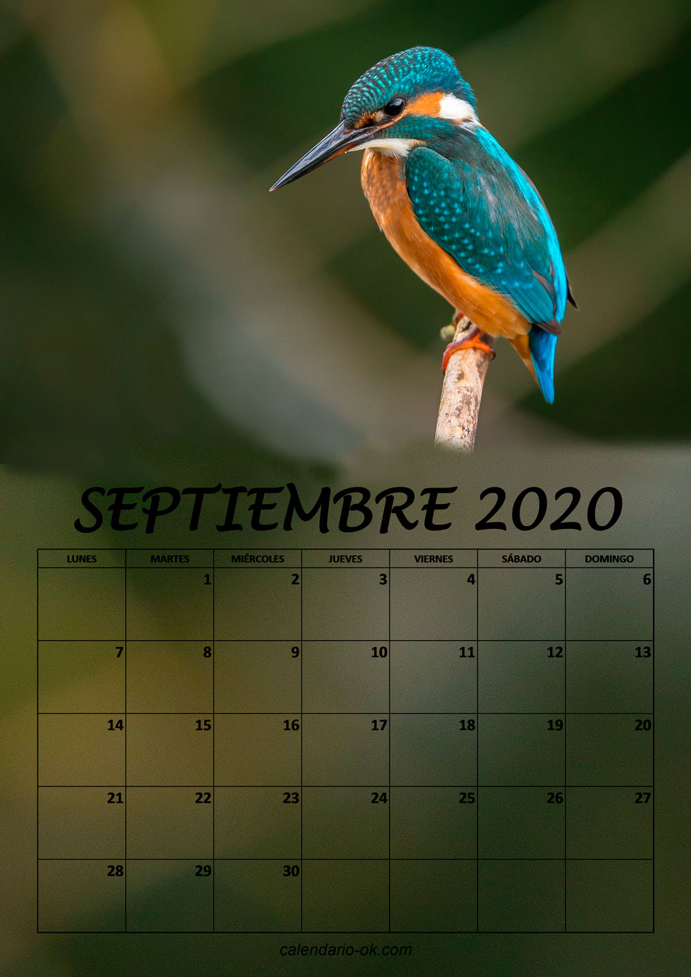 Calendario SEPTIEMBRE 2020 de PAJAROS