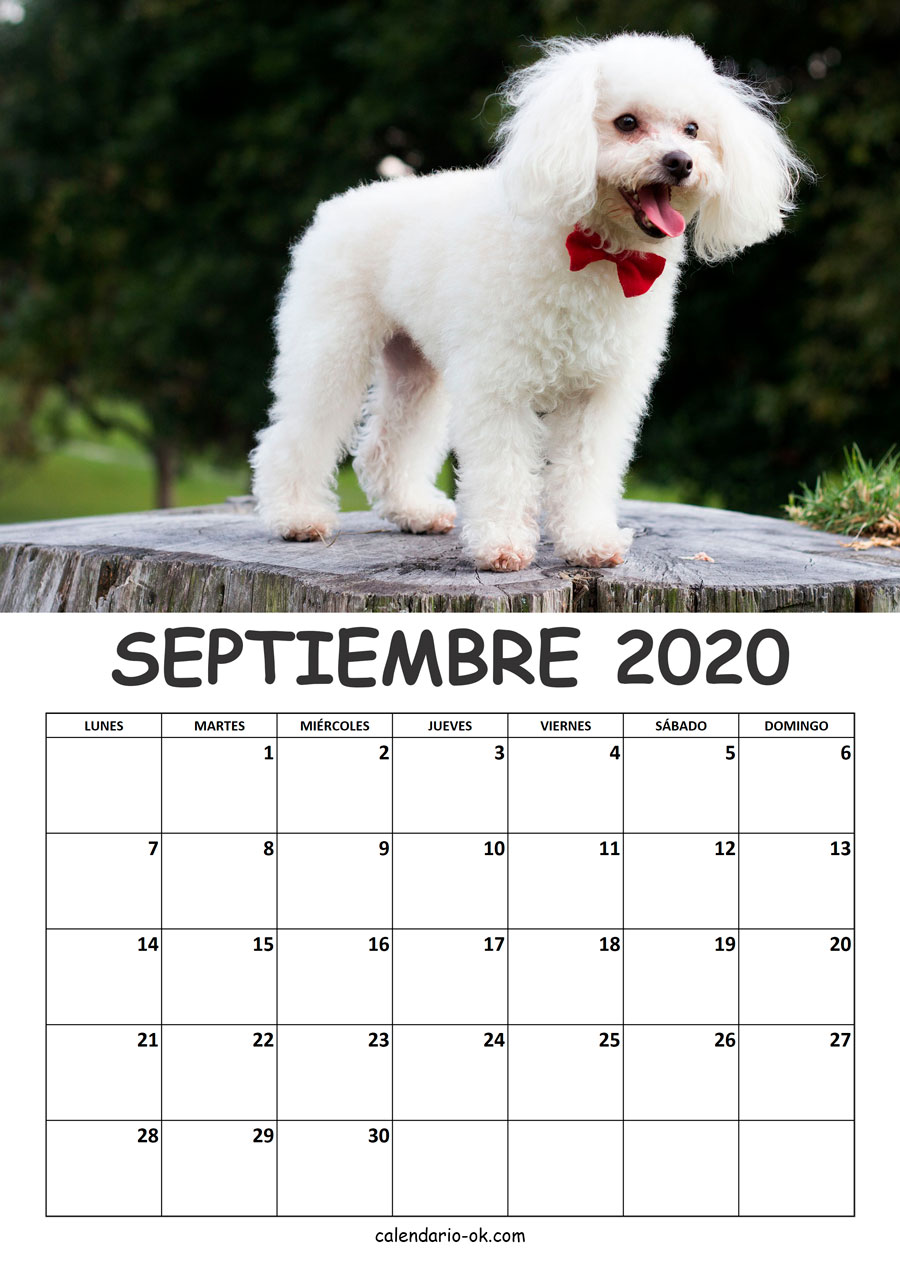 Calendario SEPTIEMBRE 2020 de PERROS